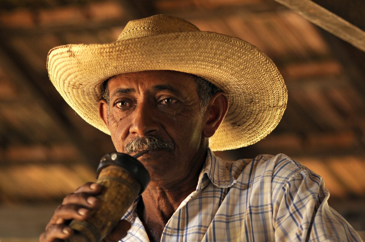 Cowboys, Wetlands, Mato Grosso do Sul