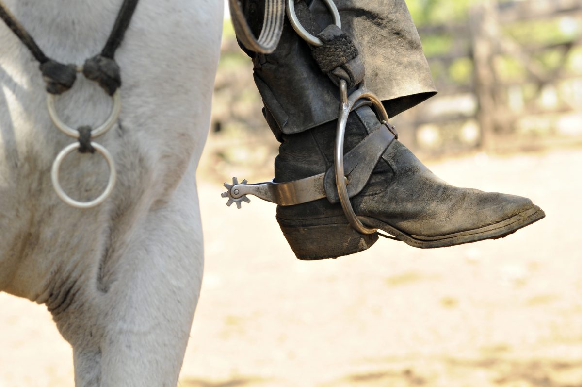 Cowboys, Wetlands, Mato Grosso do Sul